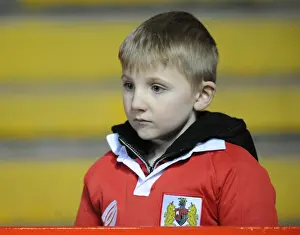 Bristol City Fans in Action during Sky Bet League One Match against Port Vale, Ashton Gate Stadium (February 10, 2015)