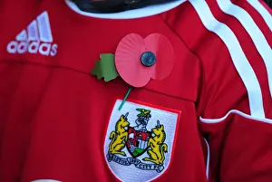 Bristol City Fans Honor Remembrance Day with Poppies at Ashton Gate Stadium