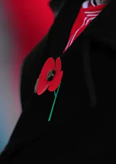 Bristol City V Charlton Prints: Bristol City Fans Pay Tribute with Poppies on Remembrance Day at Ashton Gate Stadium