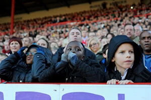 Images Dated 22nd November 2014: Bristol City Fans Showing Emotions During the Match against Preston North End