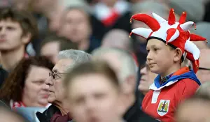 Bristol City Fan's Triumph at Wembley: Bristol City v Walsall, Johnstone's Paint Trophy Final