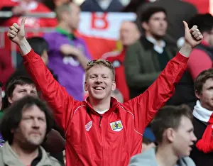 Bristol City FC Fans Celebrate Win at Wembley Stadium, 2015