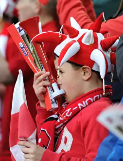 Bristol City FC: Triumph at Wembley - Johnstone's Paint Trophy Final Celebration
