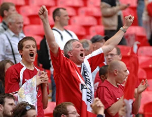 Play Off Final Collection: Bristol City FC's Thrilling Play-Off Victory: Season 07-08 - Play-Off Final Triumph