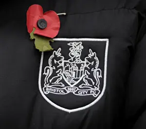 Bristol City Football Club Honors FA Cup Rival with Poppy Tribute at Ashton Gate