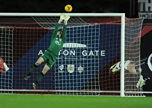 Bristol City Goalkeeper Frank Fielding Saves Freekick vs AFC Wimbledon, Johnstone's Paint Trophy (November 2014)