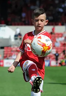 Bristol City V Brentford Prints: Bristol City Mascot Rallies Fans at Ashton Gate: Sky Bet Championship Clash vs. Brentford
