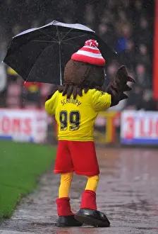 Bristol City V Watford (Postponed) Prints: Bristol City Mascot Scrumpy Braves the Rain: Bristol City v Watford