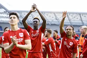 Bristol City Secures Championship Survival: Historic 1-0 Victory Over Brighton & Hove Albion