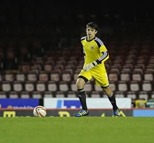 Images Dated 11th November 2013: Bristol City U18s vs Newport County U18s: Youth Cup Match at Ashton Gate