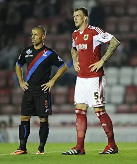 Images Dated 27th August 2013: Bristol City V Crystal Palace 270813