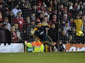 Images Dated 14th January 2009: Bristol City V Portsmouth