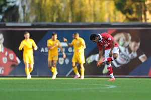 Bristol City v Preston North End 221114 Bristol City v Preston North End 221114