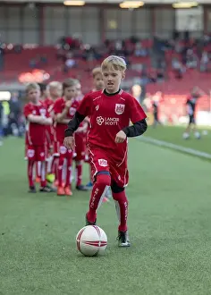 Bristol City vs Barnsley: A Championship Showdown at Ashton Gate (April 2017)