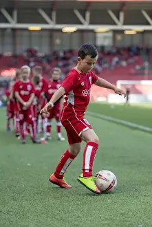 Bristol City vs Barnsley Clash in Sky Bet Championship (April 2017) - Ashton Gate