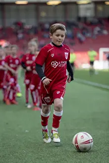 Bristol City vs Barnsley Clash in Sky Bet Championship (April 2017) - Ashton Gate