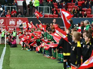 Bristol City vs Birmingham City Clash: Sky Bet Championship Showdown at Ashton Gate - May 7, 2017