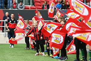 Bristol City vs Birmingham City: Flagbearers Clash in Sky Bet Championship (May 7, 2017) - Ashton Gate