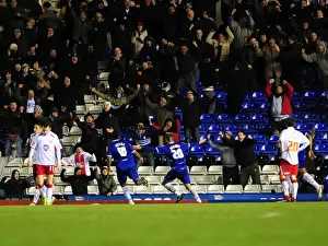 Bristol City vs. Birmingham City: A Football Rivalry - Season 08-09