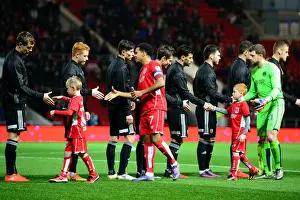 Bristol City V Brentford Prints: Bristol City vs Brentford: Mascots Face-Off at Ashton Gate