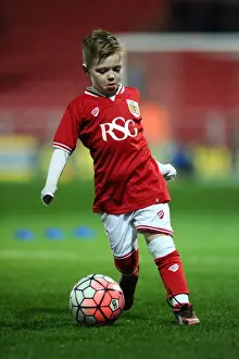Brighton Prints: Bristol City vs Brighton: Clash at Ashton Gate - Sky Bet Championship (February 2016)