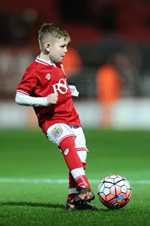 Brighton Prints: Bristol City vs Brighton: Clash at Ashton Gate - Sky Bet Championship (February 23, 2016)