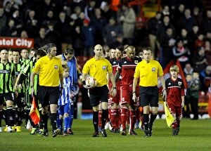 Images Dated 5th March 2013: Bristol City vs Brighton and Hove Albion in Npower Championship Clash at Ashton Gate - March 2013