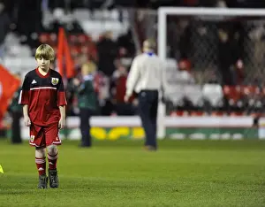 Bristol City vs. Brighton and Hove Albion: Npower Championship Showdown at Ashton Gate - March 5, 2013