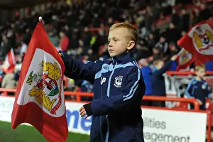 Brighton Prints: Bristol City vs Brighton: Sky Bet Championship Showdown at Ashton Gate - 23/02/2016