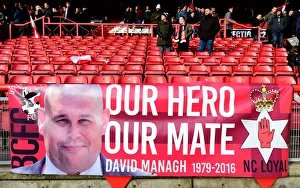 Bristol City vs Cardiff City Clash at Ashton Gate, Sky Bet Championship (January 14, 2017)