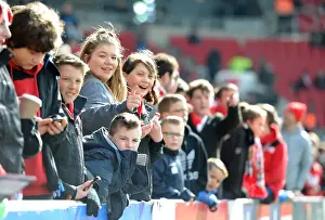 Bristol City V Cardiff Prints: Bristol City vs Cardiff City: A Sea of Passionate Fans at Ashton Gate, 2016