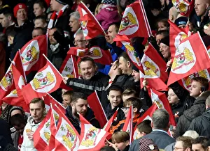 Bristol City V Cardiff Prints: Bristol City vs. Cardiff City: A Sea of Supporters at Ashton Gate Stadium, 2016