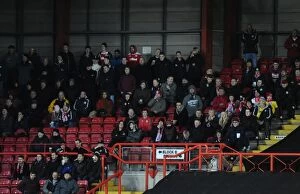 Images Dated 13th December 2014: Bristol City vs Crawley Town: A Football Rivalry Ignites at Ashton Gate (December 13, 2014)