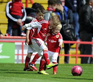 Bristol City vs Crewe: Exciting Football Action at Ashton Gate, 2014