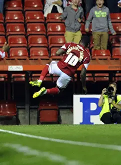 Round 2 Prints: Bristol City vs Crystal Palace: Clash at Ashton Gate - August 27, 2013