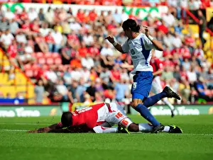 Bristol City V Crystal Palace Prints: Bristol City vs. Crystal Palace: A Football Rivalry - Season 09-10