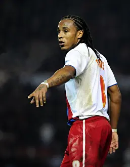 Bristol City vs Crystal Palace: Neil Danns in Action at Ashton Gate Stadium, December 2010 (Championship Football Match)