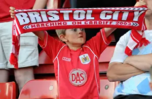 Bristol City vs. Crystal Palace: The Play-Off Showdown (Season 07-08)