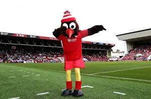 Bristol City V Derby County Prints: Bristol City vs Derby County: Robin Mascot at Ashton Gate Stadium