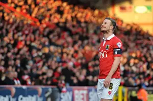 Bristol City vs Fleetwood Town: Wade Elliott in Action at Ashton Gate, January 2015