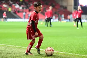 Bristol City vs Fulham: A Thrilling Sky Bet Championship Clash at Ashton Gate (February 2017)
