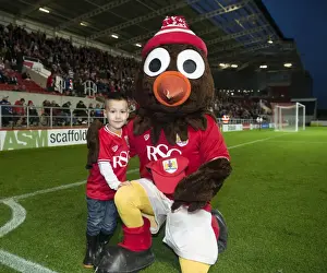 Bristol City vs Leeds United Clash at Ashton Gate: Sky Bet Championship (August 2015)