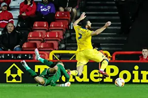 Bristol City vs Leeds United Clash in Sky Bet Championship at Ashton Gate (19.08.2015)