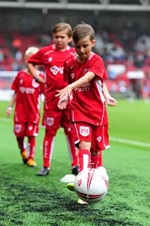 Bristol City vs Newcastle United Clash at Ashton Gate, Sky Bet Championship (2016)