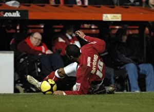 Images Dated 14th January 2009: Bristol City vs Portsmouth: A Football Rivalry - Season 08-09