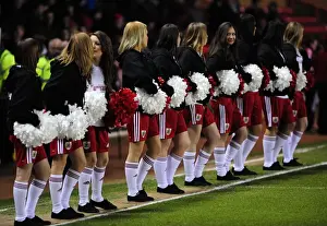 Bristol City vs Portsmouth: Season 10-11 Football Rivalry (Bristol City v Portsmouth)