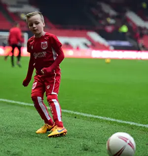 Bristol City vs Preston North End: A Battle in the Sky Bet Championship at Ashton Gate (17/12/2016)