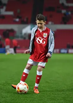 Bristol City vs. Queens Park Rangers: Sky Bet Championship Clash at Ashton Gate Stadium (December 19, 2015)
