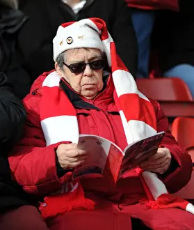 Bristol City V Rochdale Prints: Bristol City vs Rochdale: A Fan's Perspective at Ashton Gate, February 2015