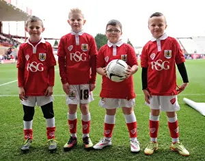 Bristol City V Rochdale Prints: Bristol City vs Rochdale: Mascots at Ashton Gate Stadium, February 2015